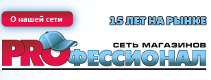 Профессионал
