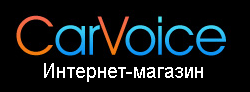 CarVoice