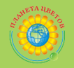 Планета цветов