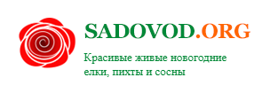 Садовод
