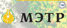 Мэтр