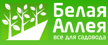 Белая Аллея
