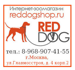 REDDOGSHOP.RU