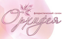 Орхидеи