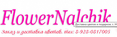 FlowerNalchik
